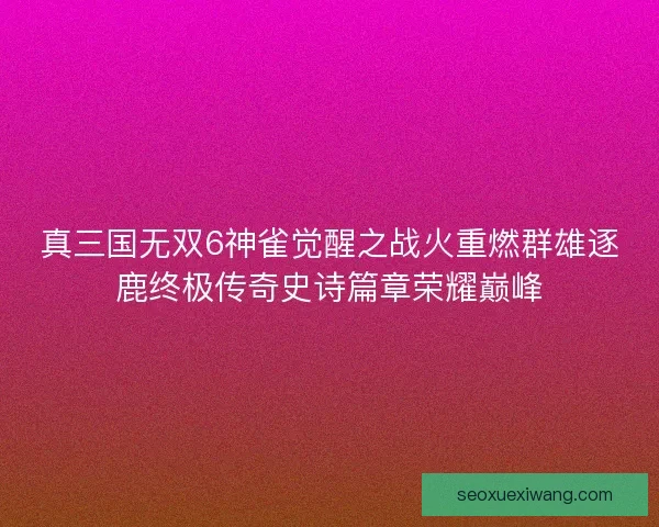 真三国无双6神雀觉醒之战火重燃群雄逐鹿终极传奇史诗篇章荣耀巅峰